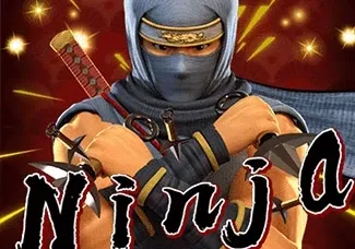 Ninja icon